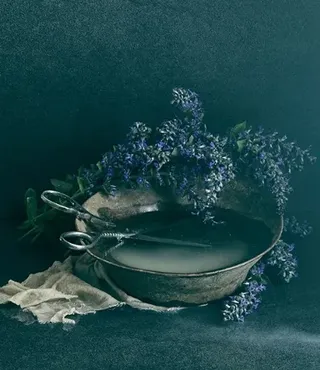 Still life в домашних условиях (Ольга Тупоногова-Волкова)
