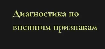 Диагностика по внешним признакам (Ольга Григорьева)