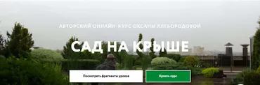 [Школа Ландшафтного Дизайна] Сад на крыше. Тариф Стандарт (Оксана Хлебородова)