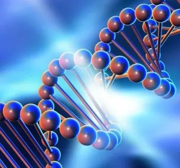 [Genetics FY] Практический курс по детоксу эстрогенов. Тариф Я сам