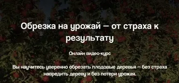 Обрезка на урожай — от страха к результату (Дмитрий Парфёнов)