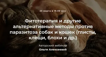 Фитотерапия и другие альтернативные методы против паразитоза собак и кошек (Ольга Алексеева)