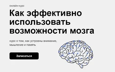 Как эффективно использовать возможности мозга (Илья Захаров)