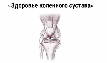Здоровье коленного сустава (Дмитрий Путылин)