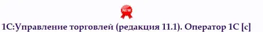 [Специалист] 1C Управление торговлей. Редакция 11.1. Оператор 1С (Елена Гречко)