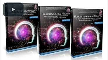 Кураторы. Информатории (Вячеслав Губанов)