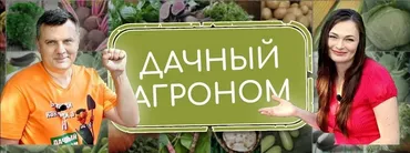 [Дачный агроном] Видеоуроки Розы