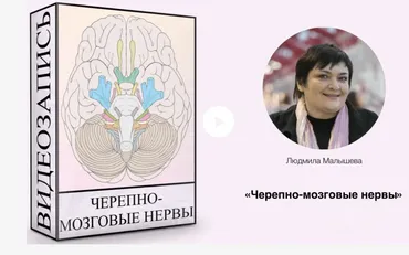 [GeekBrains] Факультет веб-разработки 2019-2020 (Алексей Кадочников, Артем Манченков)