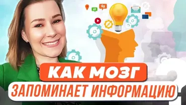 Как мозг запоминает информацию? (Виктория Мусатова)