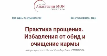 [Школа Анастасии MON] Практика прощения. Избавления от обид и очищение кармы (Аля Степанова)