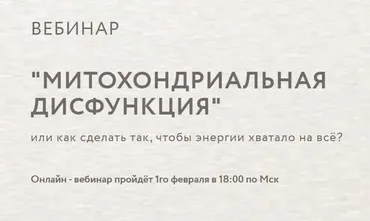 Митохондриальная дисфункция (Анна Читанава)