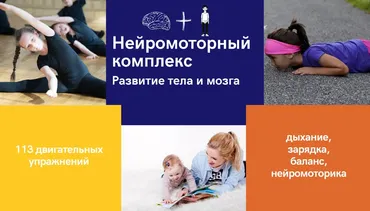 [logoprofy] Нейрокомплекс для развития тела и мозга (Елизавета Шестакова)