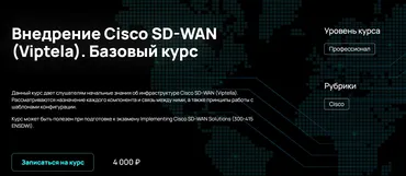 [NFE] Внедрение Cisco SD-WAN (Viptela). Базовый курс (Алексей Гусев)
