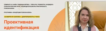 Проективная идентификация (Надежда Майн)
