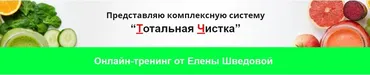 Тотальная Чистка (Елена Шведова)