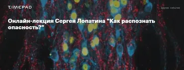 [Архэ] Как распознать опасность? (Сергей Лопатин)