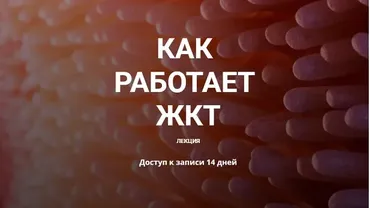 Как работает ЖКТ (Елена Иванова)