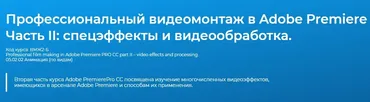 Профессиональный видеомонтаж в программе Adobe Premiere Pro CC Часть II – работа с видеоэффектами (Дмитрий Эпов)