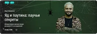 [Прямая речь] Яд и паутина: паучьи секреты (Илья Гомыранов)