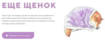 [kinologschool] Еще щенок (Антонина Зимарева)