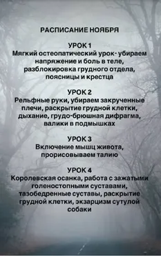 Клуб. Ноябрь 2025 (Ксения Часнык)
