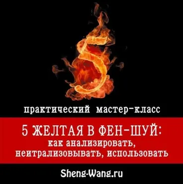 5 желтая в феншуй (Мария Щербакова)