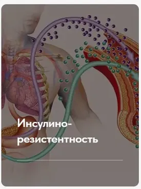 Лечебный протокол Инсулинорезистентность. Тариф Без обратной связи (Елена Ержанова)