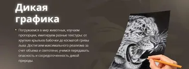 Дикая графика. Пакет Silver (Егор Матита)