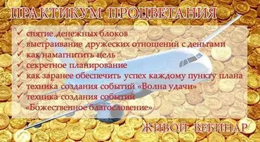 Практикум процветания (Руслан Янгаев)