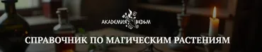 Справочник по магическим растениям (Евгения Першина)