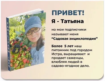 Посадка жимолости и смородины (Татьяна Холомьёва)