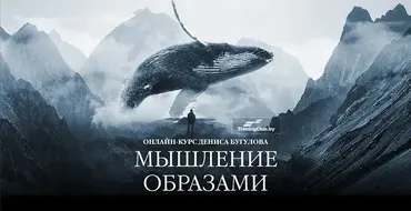 Мышление образами. Тариф Standart  (Сергей Володько, Денис Бугулов)