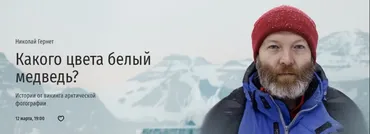 [Прямая речь] Какого цвета белый медведь? Истории от викинга арктической фотографии (Николай Гернет)