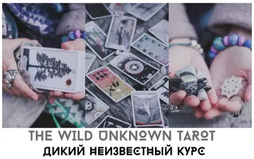 Дикое Неизвестное Таро (Лида Павлова)