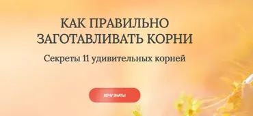 Как правильно заготавливать корни. Секреты 11 удивительных корней (Ольга Данилюк)