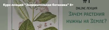 Занимательная ботаника 8+ Тариф «5 занятий» (Лиза Котлярова)