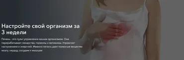 Практикум по печени. Тариф Самостоятельный (Анастасия Козадаева)