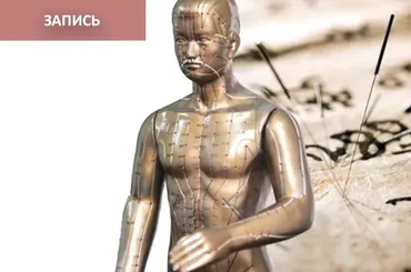 [Синофарм] Четыре метода диагностики в акупунктуре (Елена Макарова)
