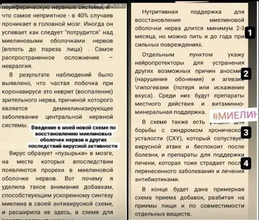 Схема по восстановлению миелиновых оболочек нервов (Ната Хаустова)