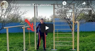 Здоровые суставы и мышцы. часть 5 (Антон Алексеев)