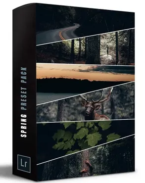 Весенние пресеты. Spring Pack (Alen Palander)