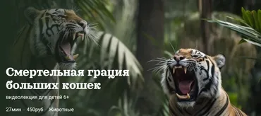 [Детский лекторий] Смертельная грация больших кошек (Александр Толмачев)