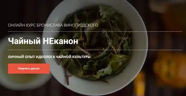 Чайный НЕканон (Бронислав Виногродский)