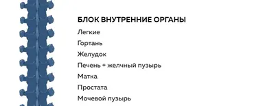 Блок внутренние органы (Григорий Крутов)