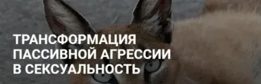 Трансформация пассивной агрессии в сексуальность. Без обратной связи (Альбина Роготовская)