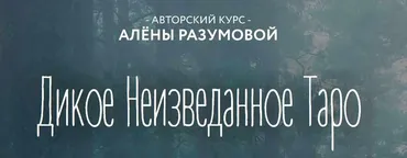 Дикое Неизведанное Таро - 1 блок (Алёна Разумова)