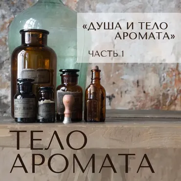 Душа и тело аромата. Часть 1. Тело аромата (Анна Зворыкина)