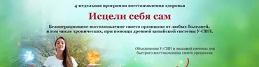 Исцели себя сам (VIP) (Татьяна Панюшкина)