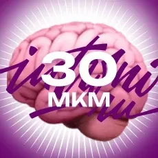 [Stepik] 30 методов креативного мышления (Владимир Потапов)