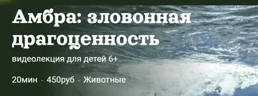 Амбра: зловонная драгоценность (Александр Толмачёв)